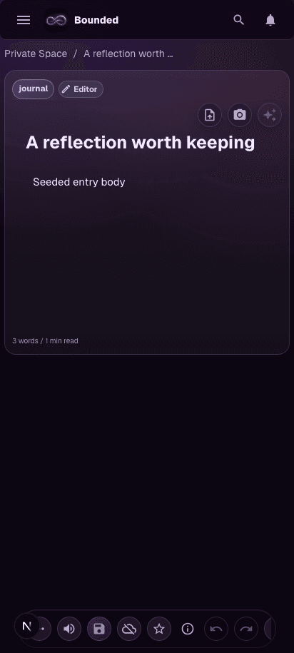 Bounded entry editor for writing relationship context